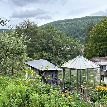 Wohn-Eitel Romantik Bad Wildbad Buitenkant foto