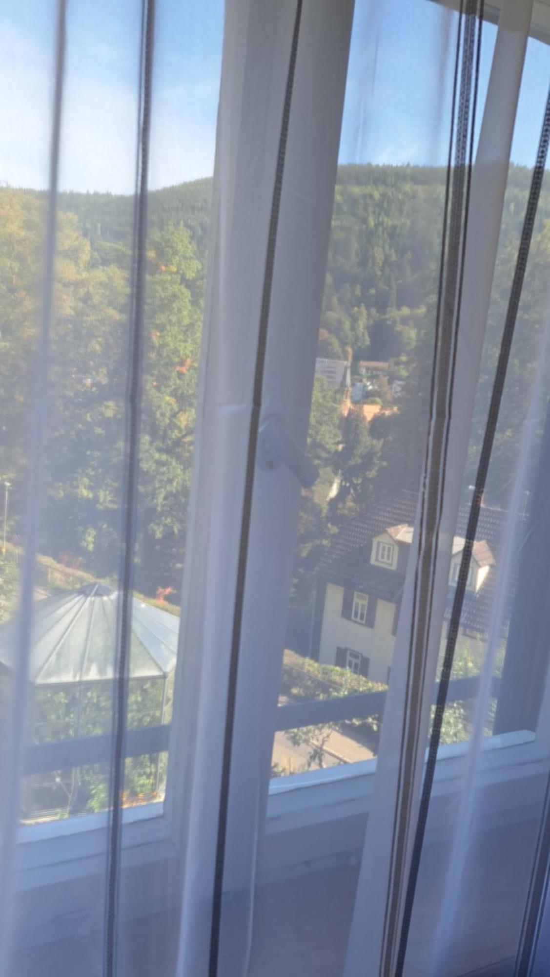 Wohn-Eitel Romantik Bad Wildbad Buitenkant foto