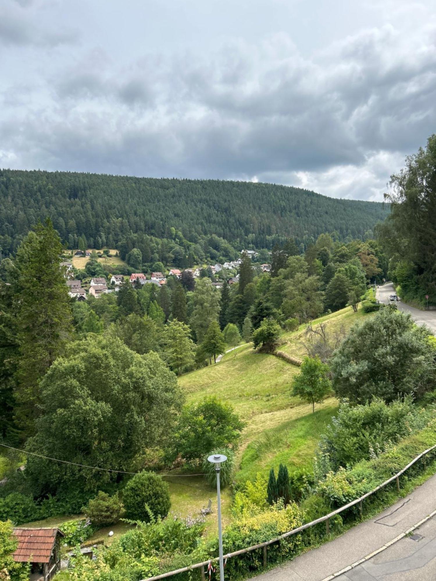 Wohn-Eitel Romantik Bad Wildbad Buitenkant foto