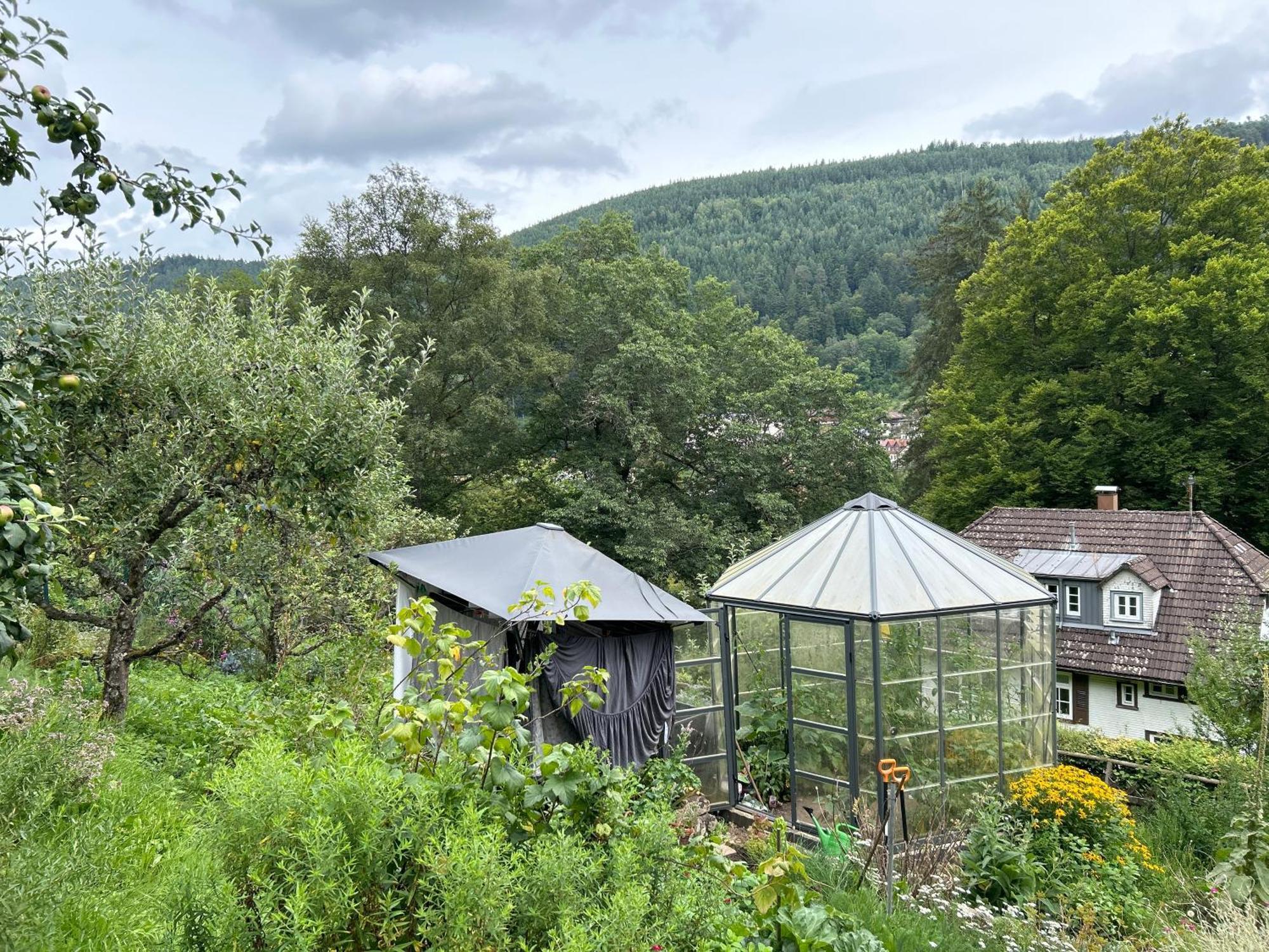 Wohn-Eitel Romantik Bad Wildbad Buitenkant foto